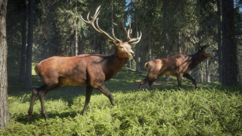 theHunter Call of the Wild klucz STEAM PC - sprawdź teraz!