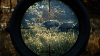 theHunter Call of the Wild klucz STEAM PC - sprawdź teraz!