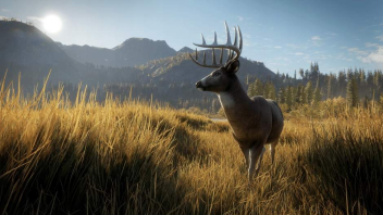 theHunter Call of the Wild klucz STEAM PC - sprawdź teraz!