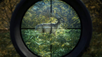 theHunter Call of the Wild klucz STEAM PC - sprawdź teraz!