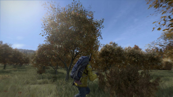 DayZ na PC - Klucz Steam do popularnej gry survivalowej