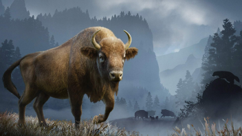 Eurasia Animal Pack do Planet Zoo - Nowe zwierzęta i wyzwania