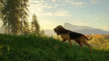 theHunter Call of the Wild Bloodhound Klucz PC na Steam