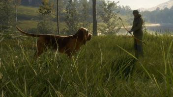theHunter Call of the Wild Bloodhound Klucz PC na Steam