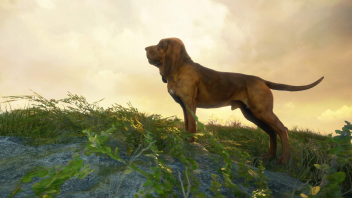 theHunter Call of the Wild Bloodhound Klucz PC na Steam