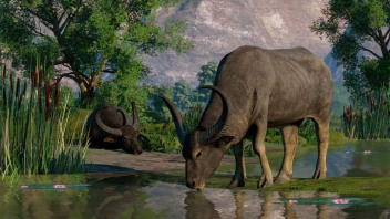 Planet Zoo: Pakiet Zwierząt Terenów Podmokłych na PC