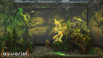 Aquarist na PC - Klucz Steam do symulacji akwarystycznej